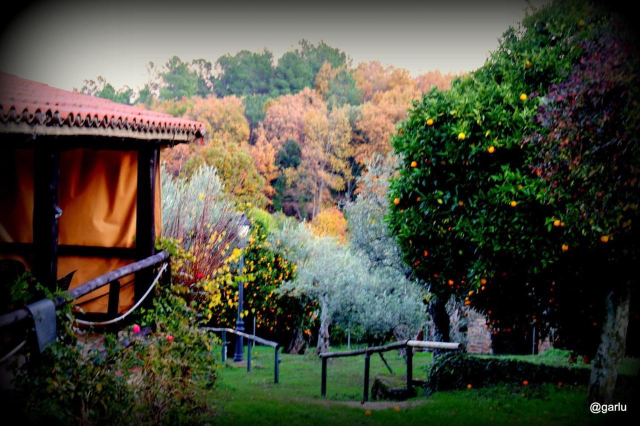 Casa Rural El Pilar Acebo Esterno foto
